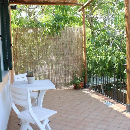 Apartment Mura *