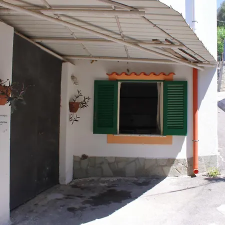 Mura